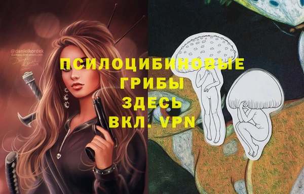 гидропоника Богданович