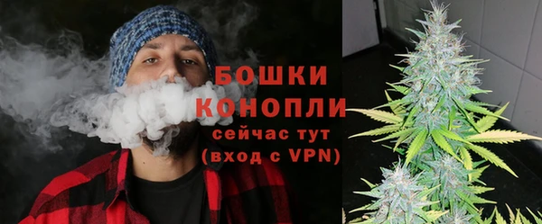 тгк Богородицк
