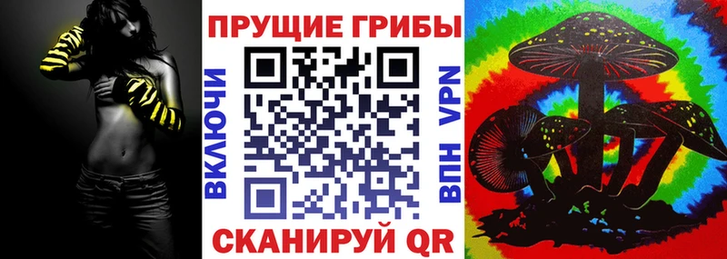 Купить где  Славгород  Псилоцибиновые грибы Cubensis 